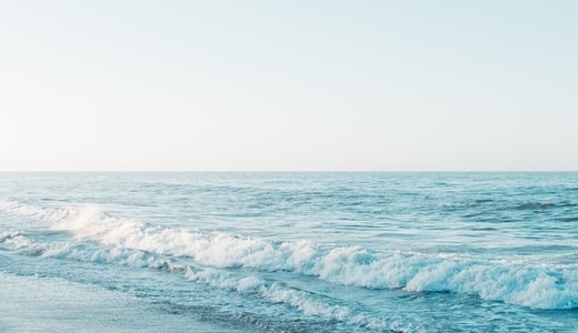 【2025年6月】ペコラビール出店イベントスケジュール