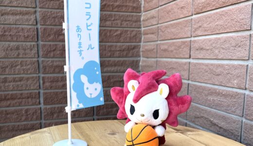 【ペコラビール開発・醸造】川崎ブレイブサンダース オリジナルクラフトビール「THUNDERS LAGER」が新発売